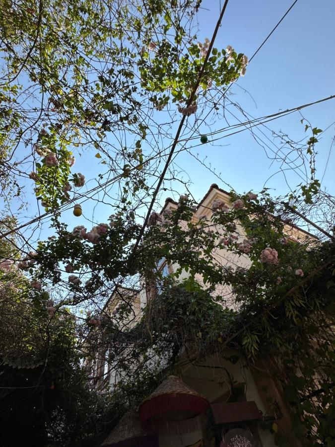 Cunda Kardias Otel Dış mekan fotoğraf